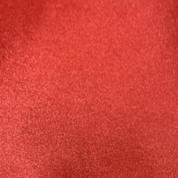 *David’s Bridal Burnt Orange Tea Length Dress Size 4 - Picture 5 of 12